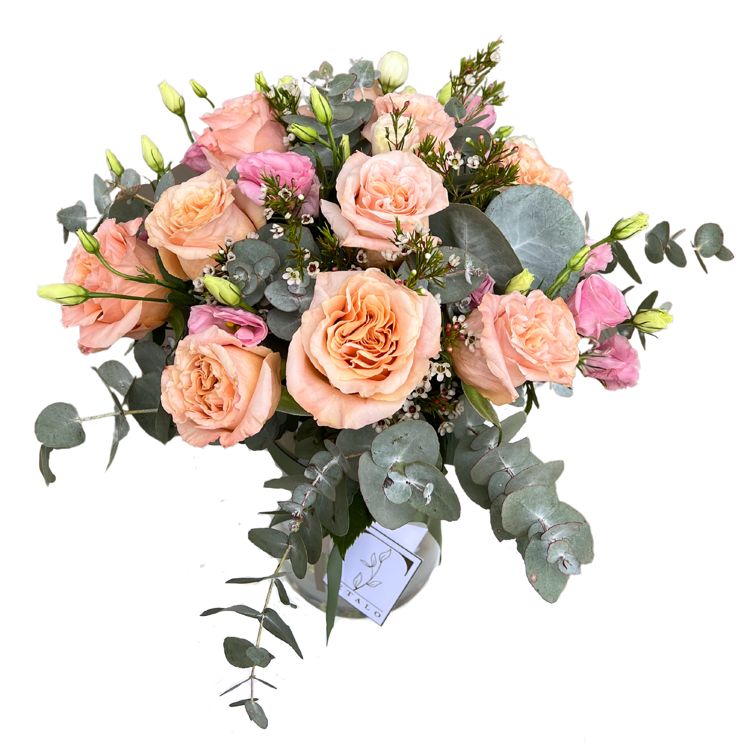 Peachy Rose Radiance - Petalo - Flower Delivery Melbourne