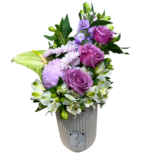 Purple Rose Splendor - Petalo - Flower Delivery Melbourne
