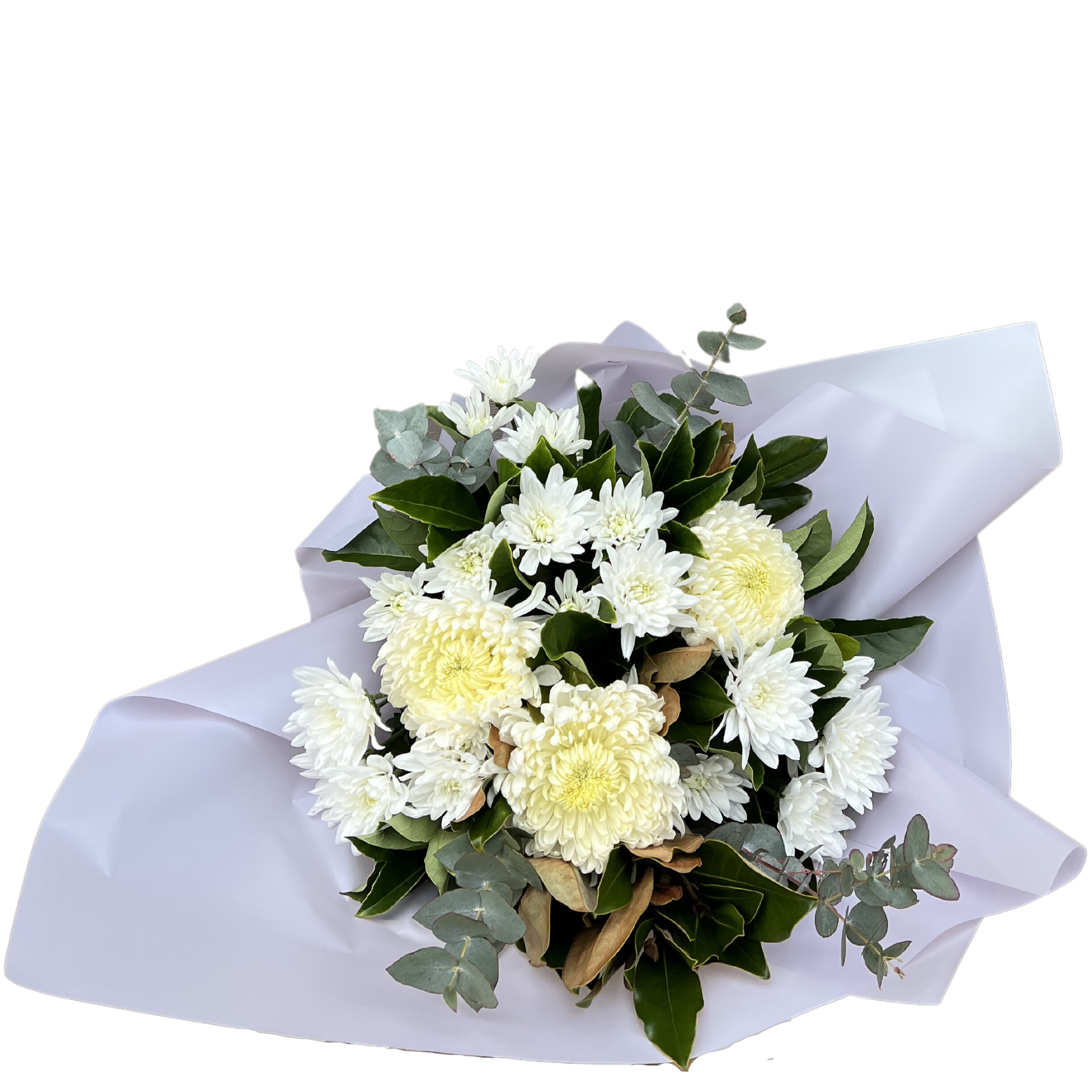 White Chrysanthemums and Disbuds Bouquet - Petalo - Flower Delivery Melbourne  
