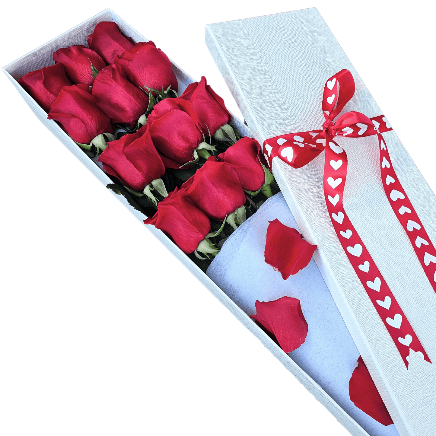Long Stemmed Ecuador Red Roses Box - 12 Stems | Flower Delivery ...