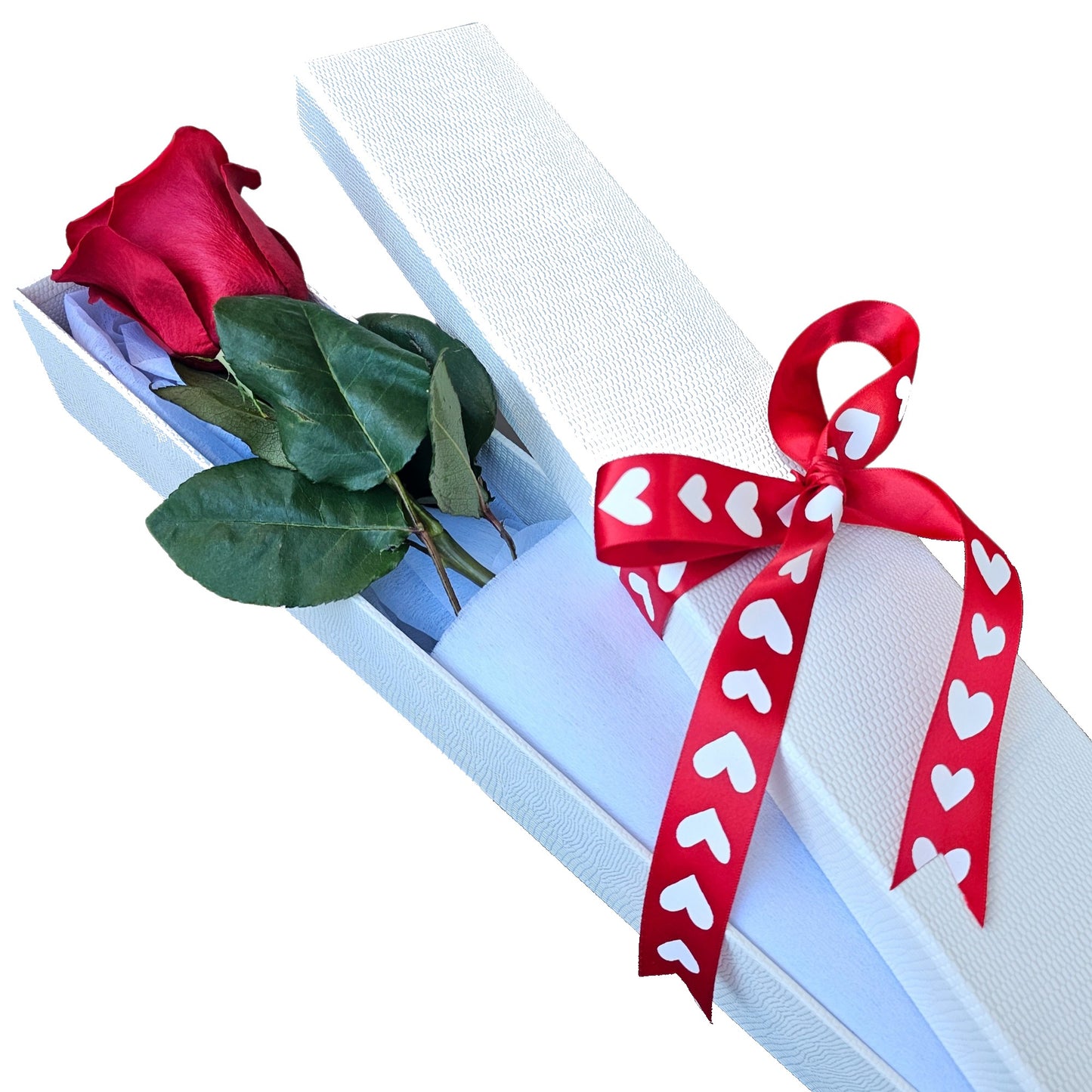 Long Stemmed Ecuador Red Rose Box - Single Stem - Petalo - Flower Delivery Melbourne  
