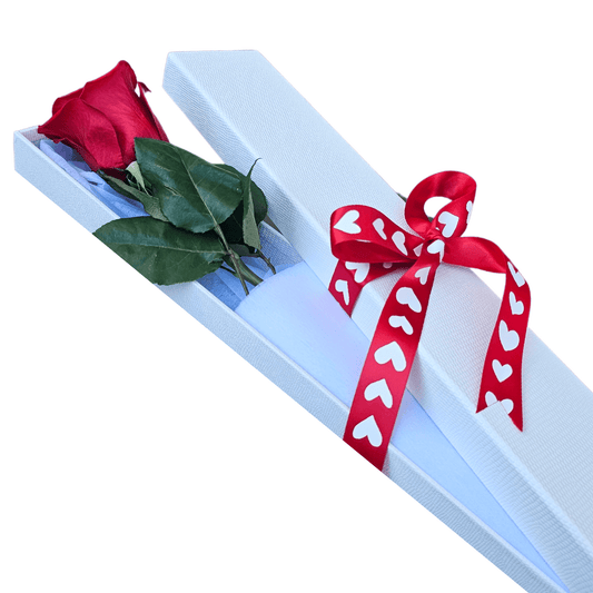 Long Stemmed Ecuador Red Rose Box - Single Stem - Petalo - Flower Delivery Melbourne  