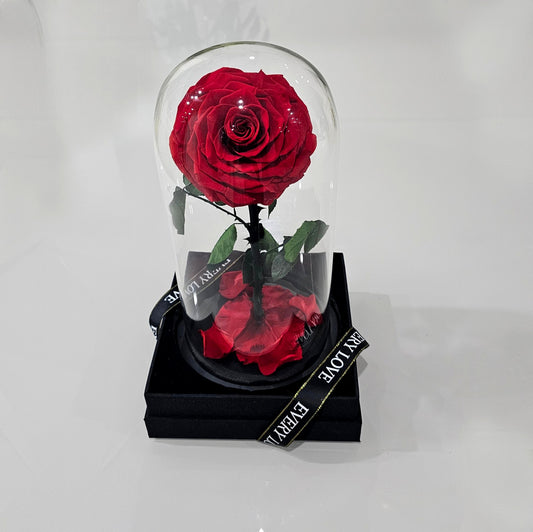 Eternal Rose in Glass Dome - Petalo - Flower Delivery Melbourne  